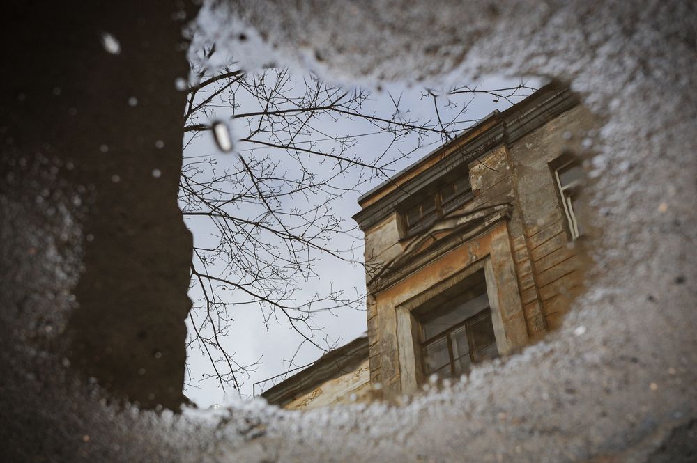 Фотография автора Альбина Хальяк