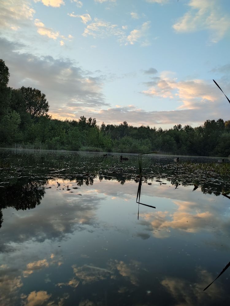 Photograph by Инна Новикова
