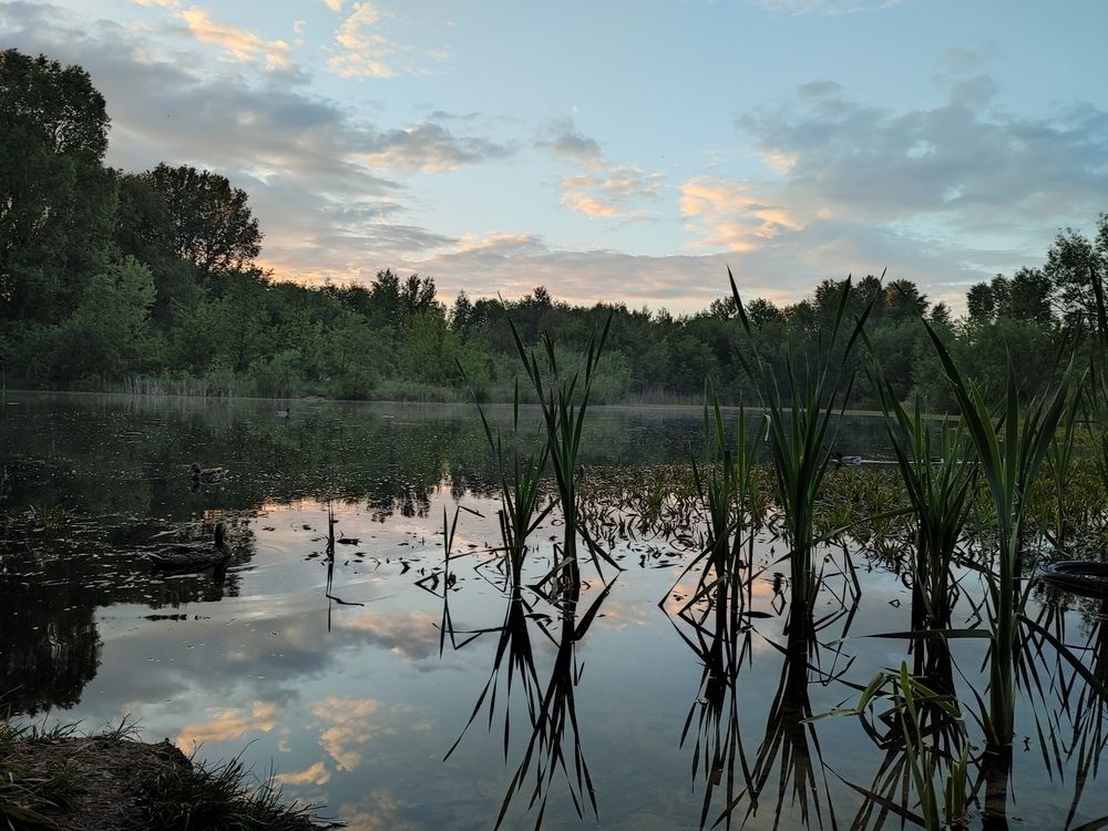 Photograph by Инна Новикова