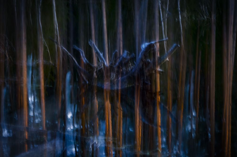 Photograph by Алексеев Дмитрий