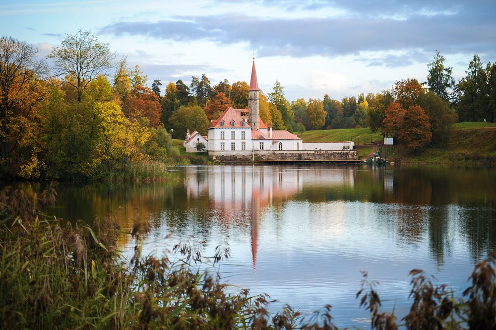 Фотография автора Альбина Хальяк