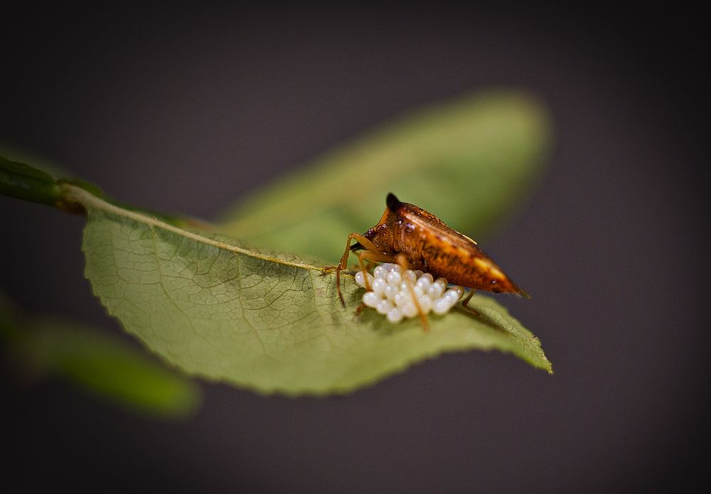 Photograph by Виктория Уварова