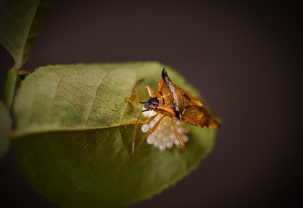 Photograph by Виктория Уварова
