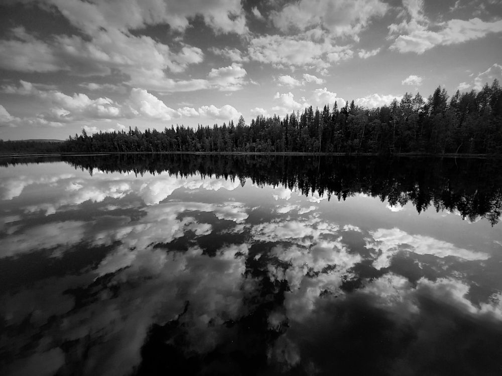 Photograph by Anna Perevozchikova