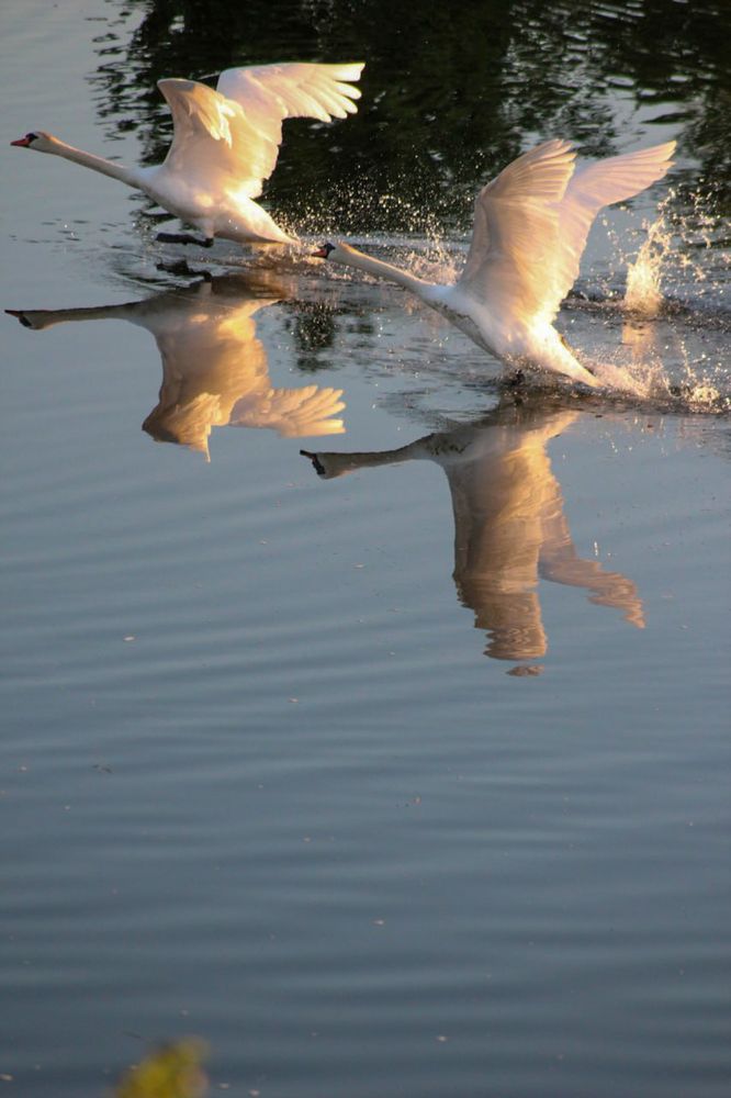 Photograph by Eugenia Schmidt