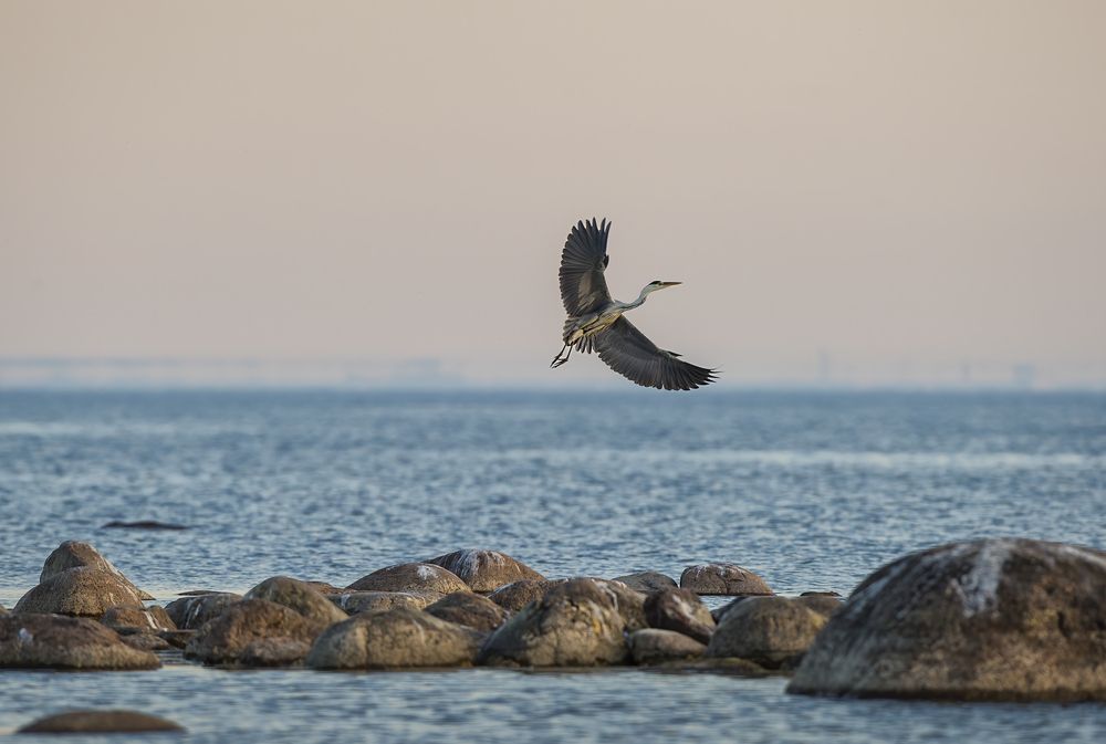 Photograph by Кулаков Юрий