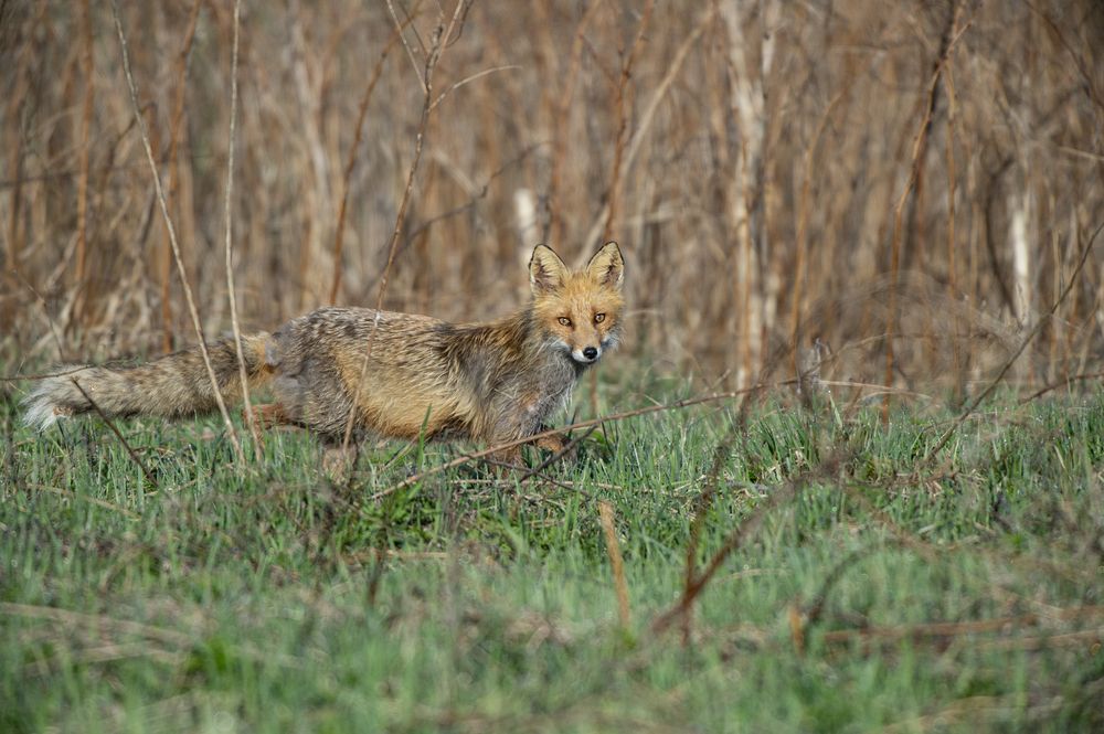 Photograph by Кулаков Юрий