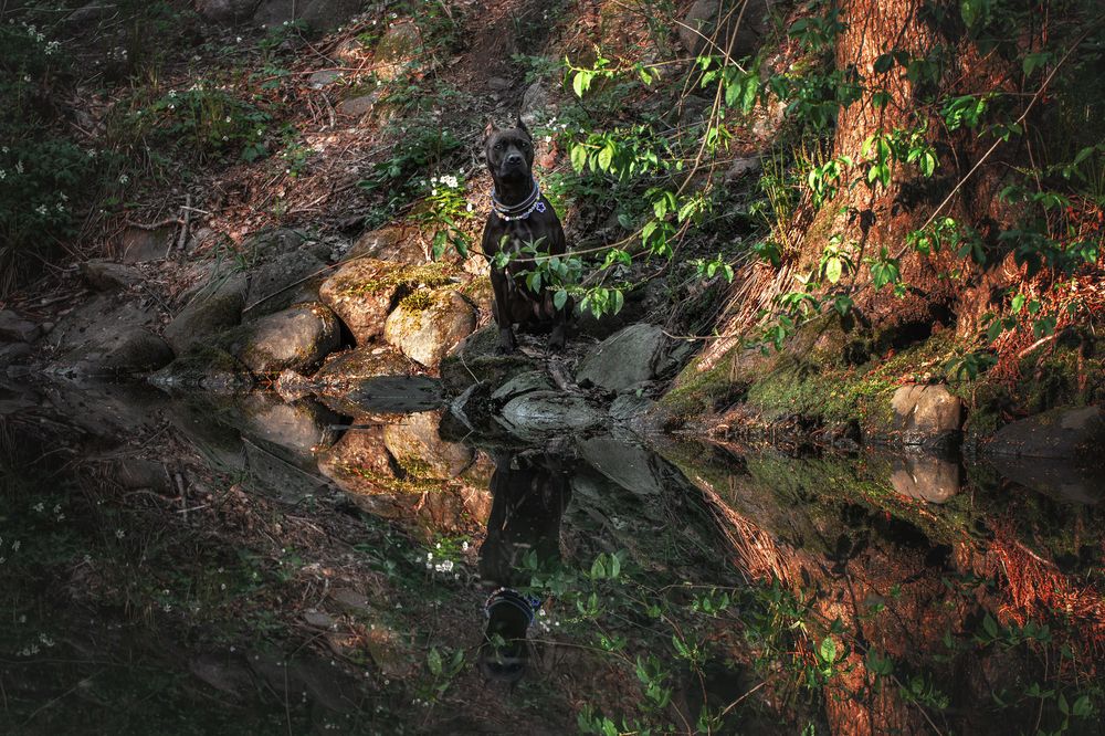 Photograph by Зубкова Юлия