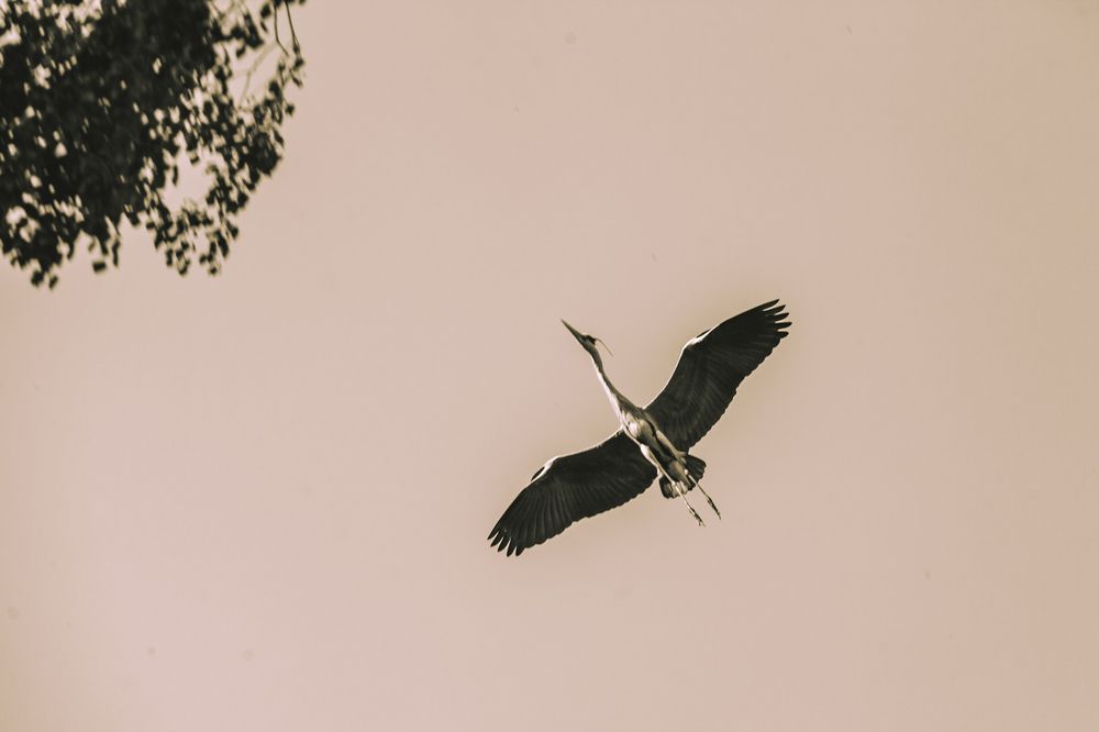 Photograph by Сагдиева Эльвира