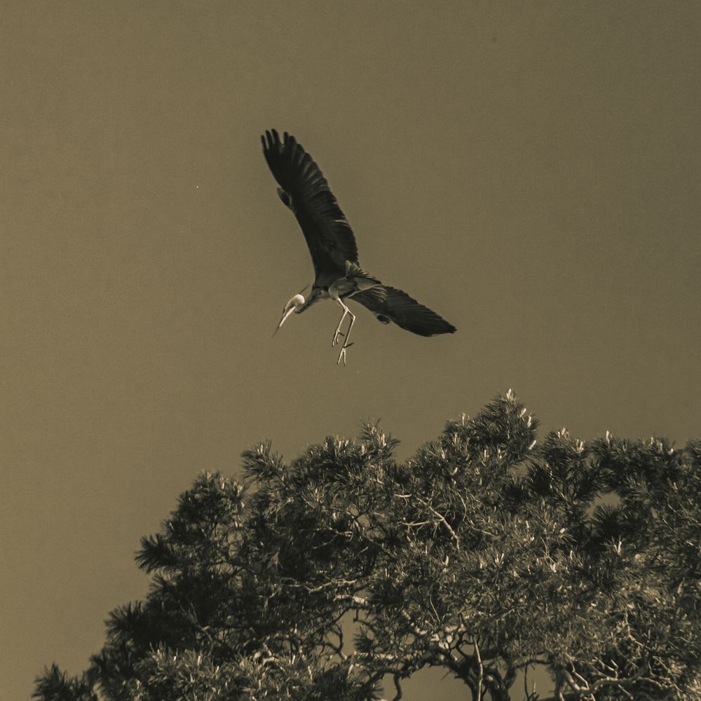 Photograph by Сагдиева Эльвира