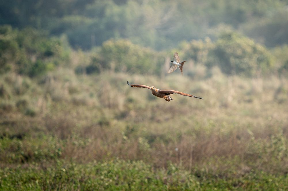 Photograph by maria paula lozano