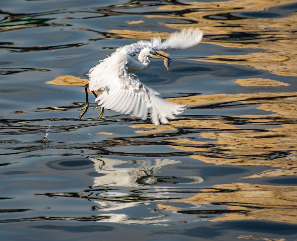 Photograph by Eslam Elsayed Eldaramlly