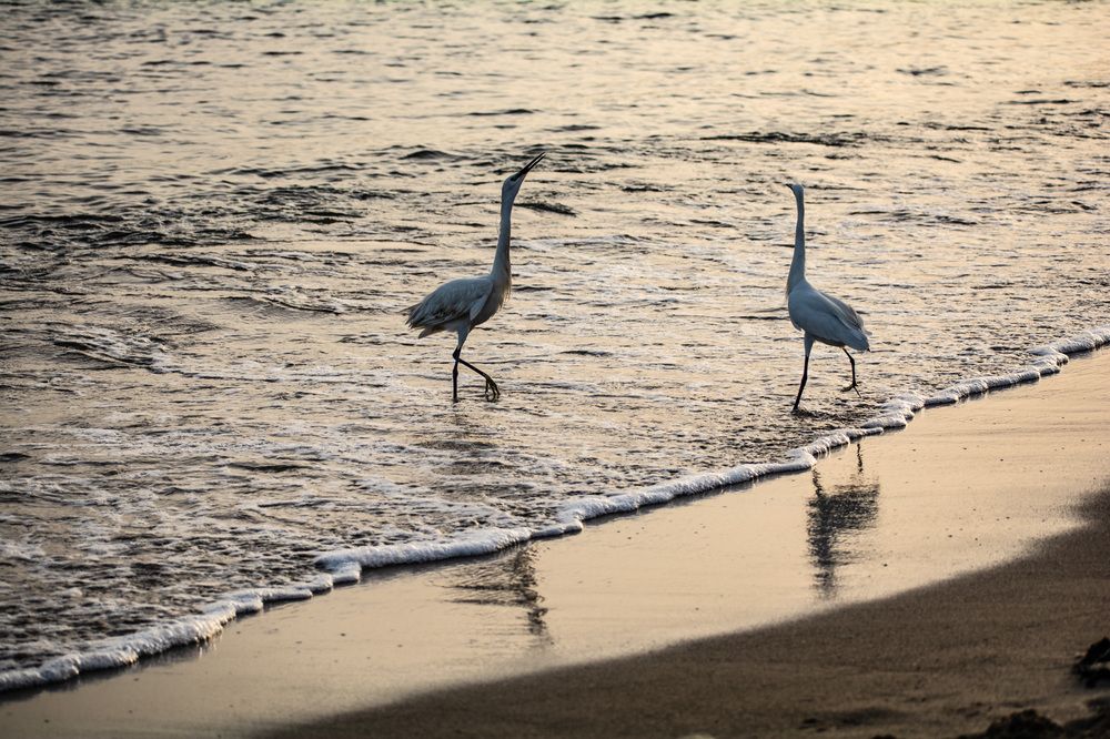 Photograph by Eslam Elsayed Eldaramlly