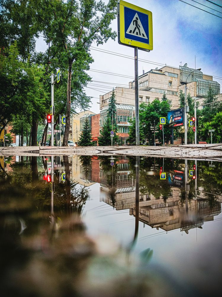 Photograph by Владимир Сушкин