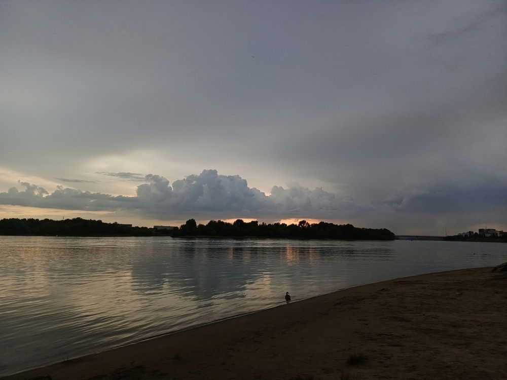 Photo #12331129