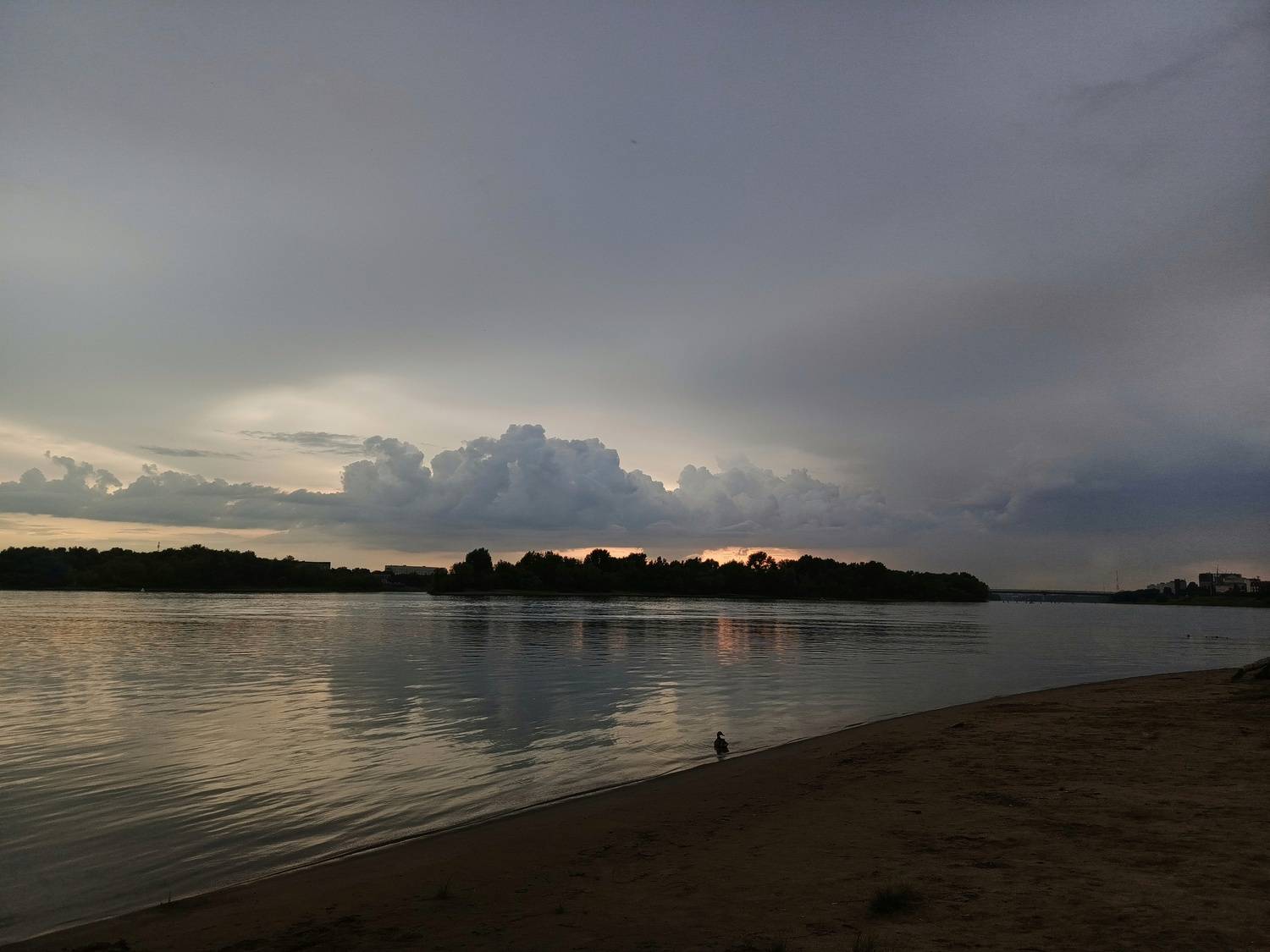 Photo #12331129