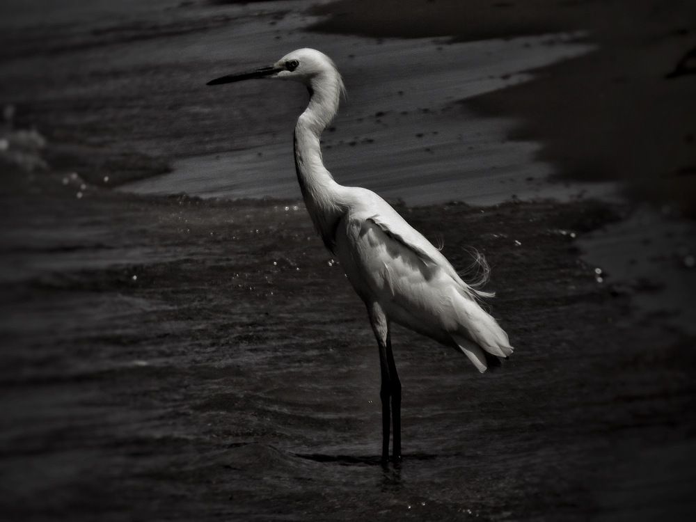 Praia