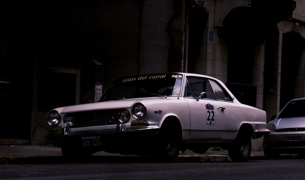 El Toro de las Pampas