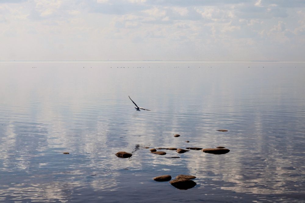 Photograph by Инна Карасева