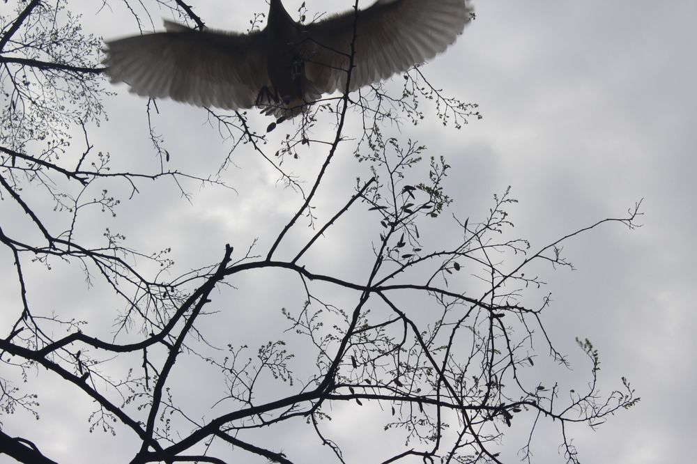 Instantes antes do infinito