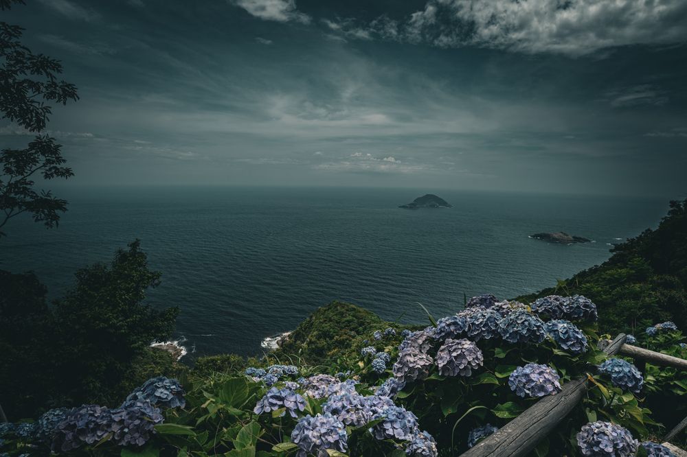 Photograph by ryuichi