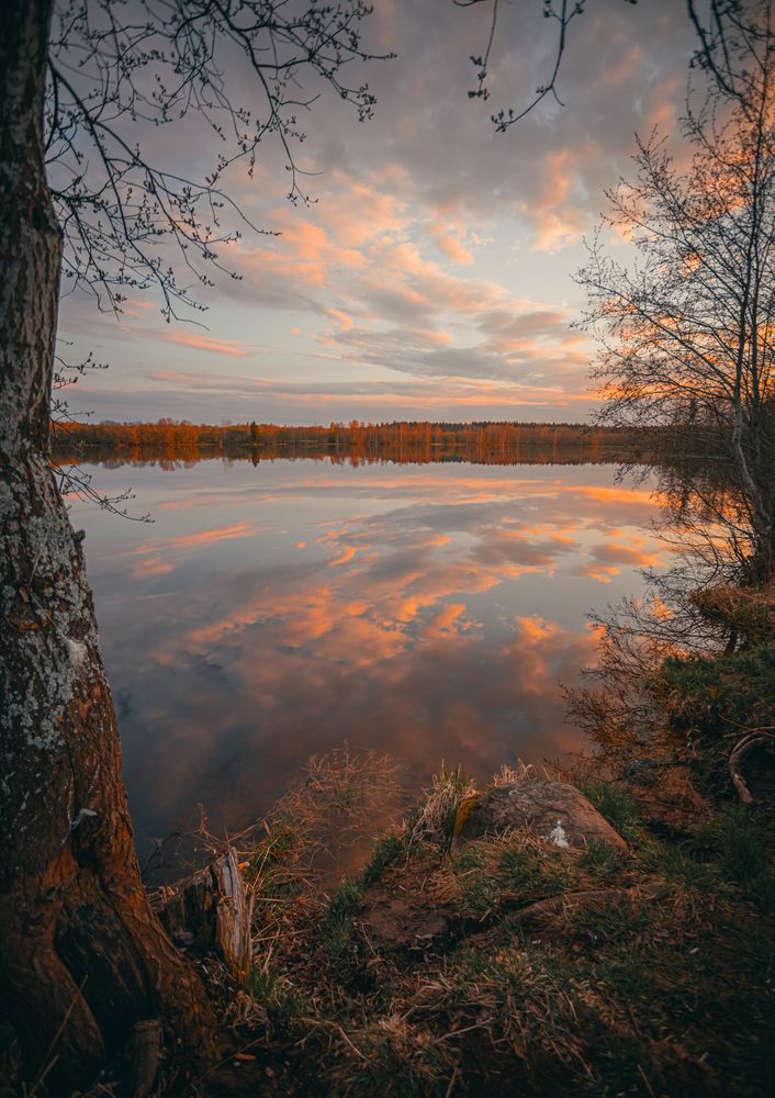 Photograph by Игорь Лузин