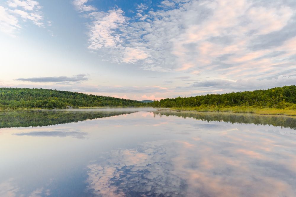 Photograph by Алексей Ч.