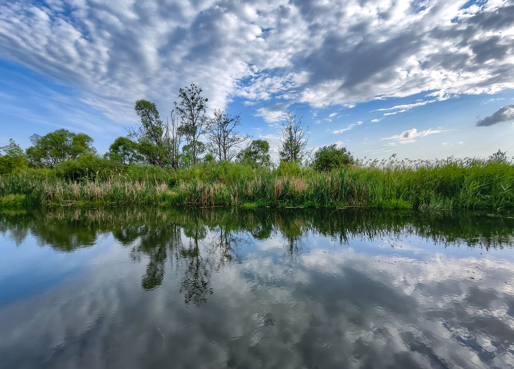Photograph by Владимир Фролов