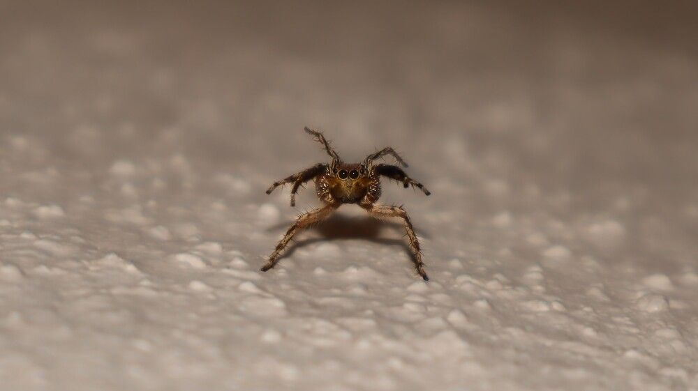 Photograph by Anurag Kashyap