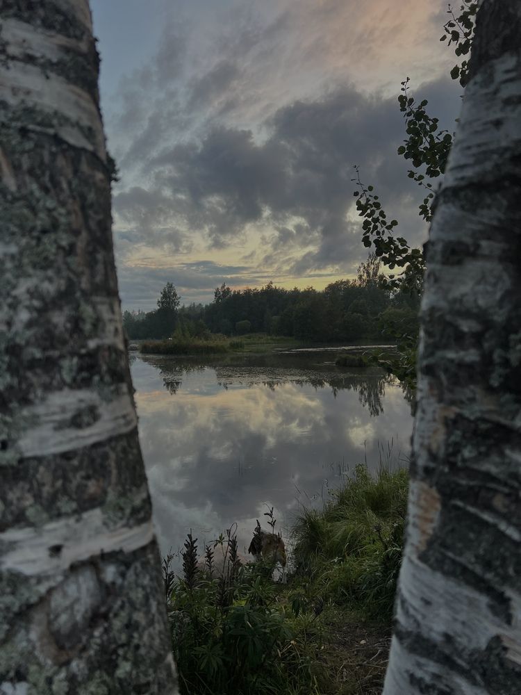 Photograph by Алла Кочергина