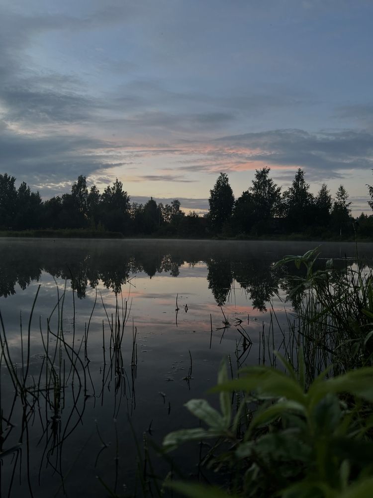 Photograph by Алла Кочергина