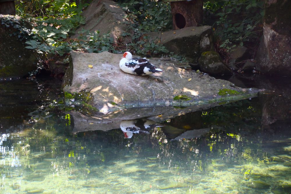 Photograph by Олег С