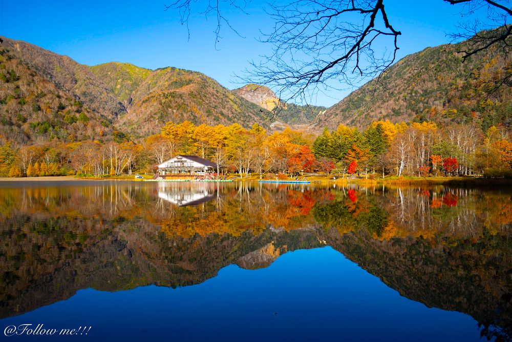 Фотография автора Huong Thom Nguyen