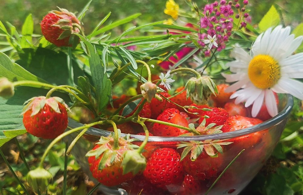 Photograph by Ульяна Северинова