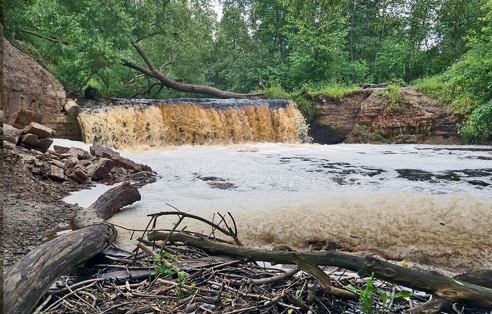 Photograph by Елена Белькова
