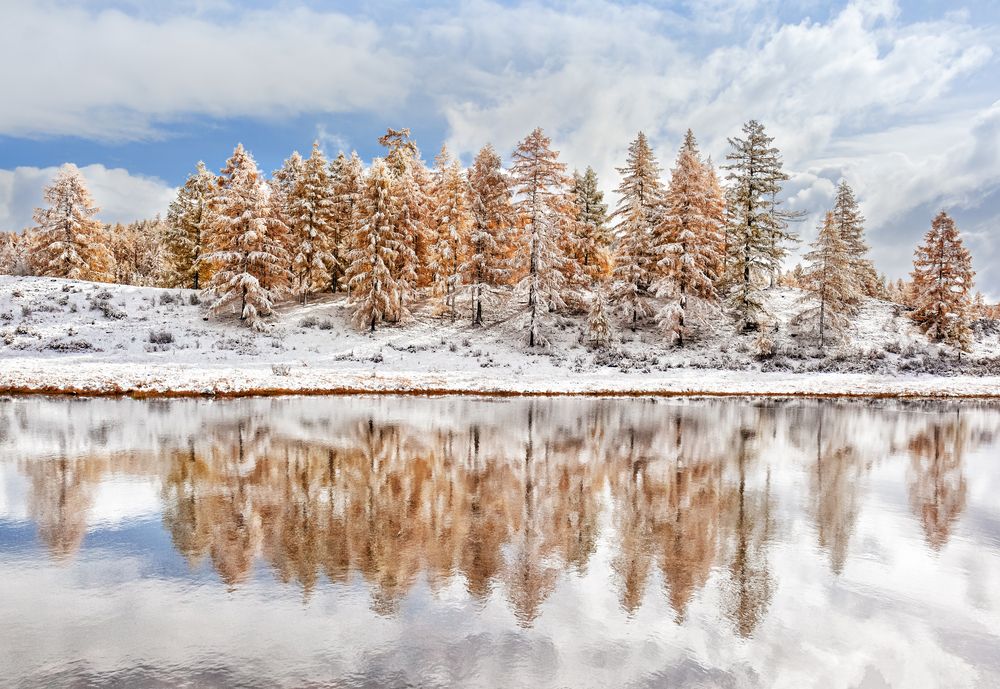 Photograph by Виктор Калинский