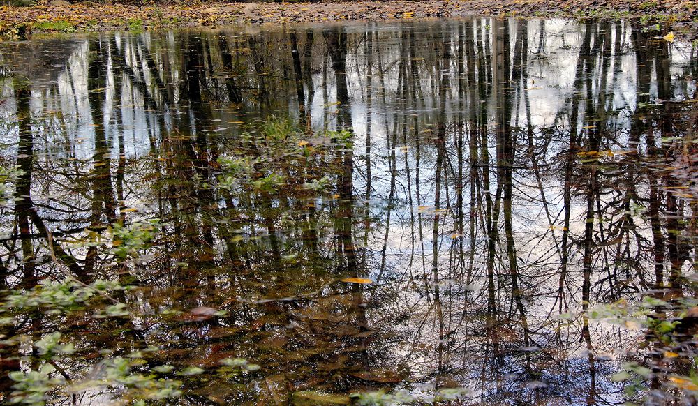 Photograph by Javad Tafti Farashah