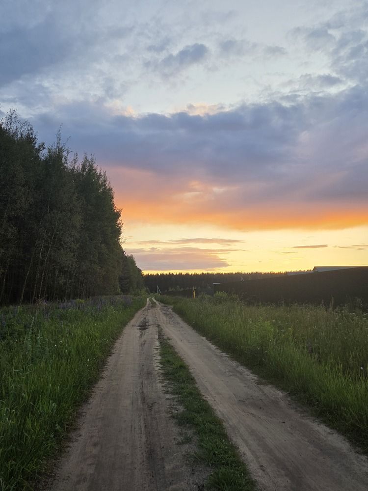 Фотография автора Мария Красильникова