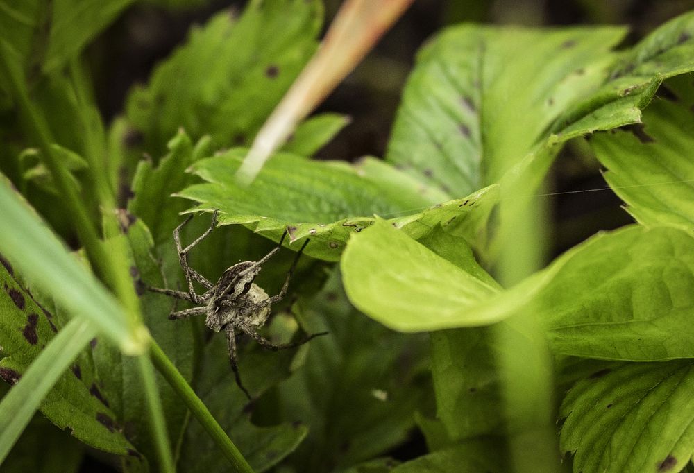 Photograph by Елена Фатьянова