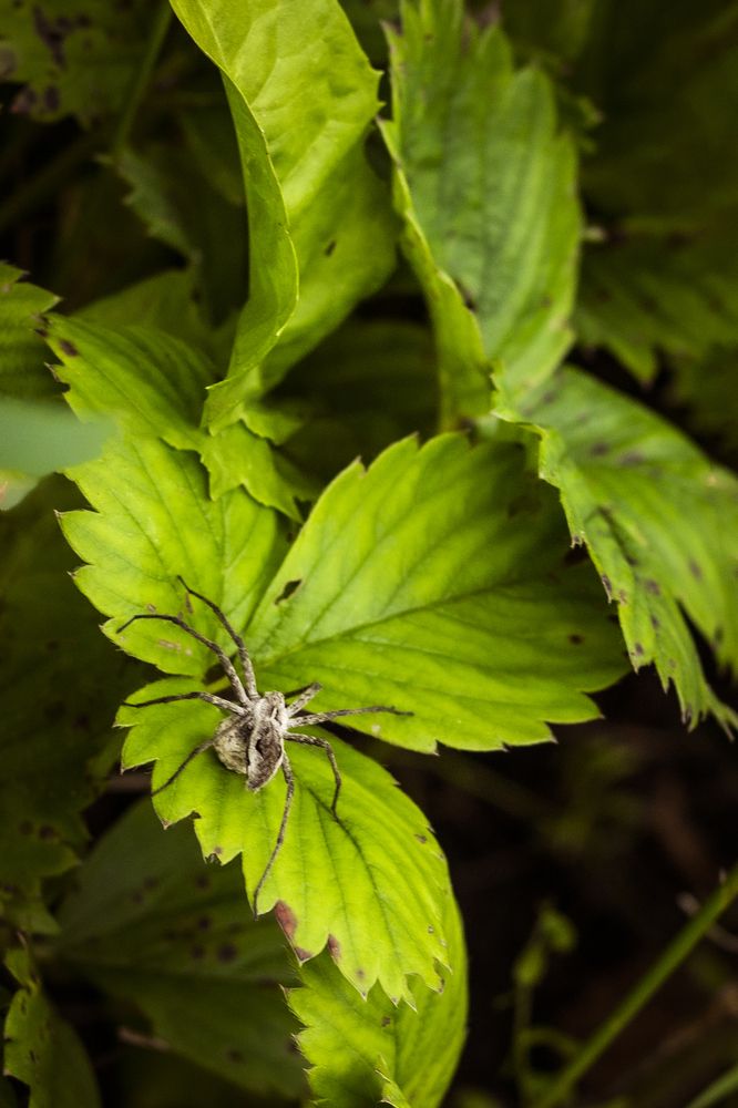 Photograph by Елена Фатьянова