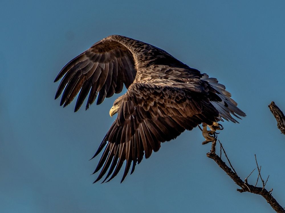 Photograph by Константин Тучин