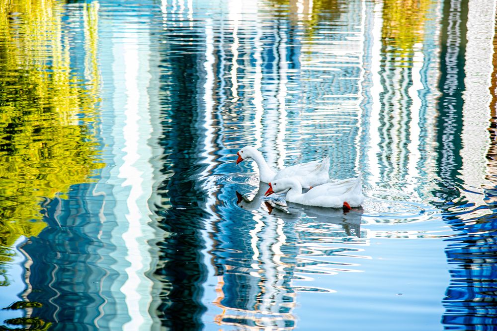 Photograph by Юрий Киреичев