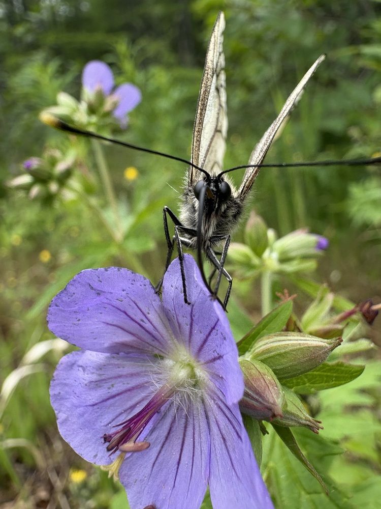 Photograph by Ольга Логарева