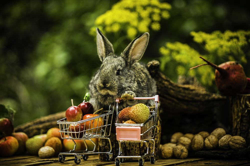 Фотография автора Михаил Лупина