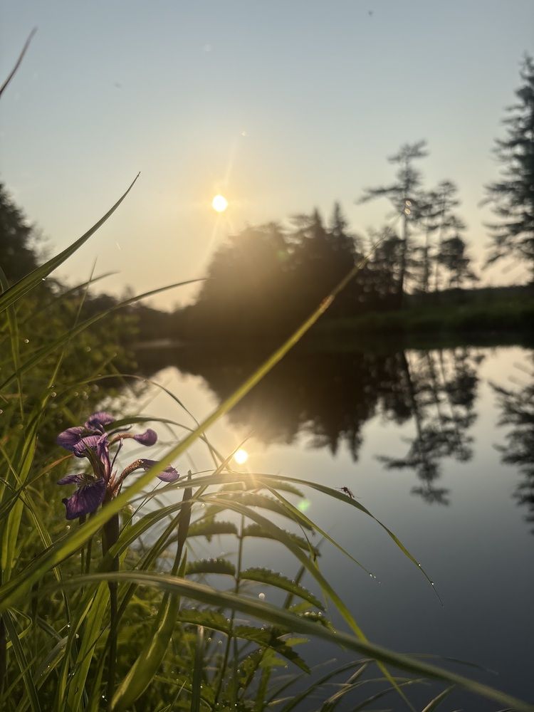 Photograph by Ольга Логарева