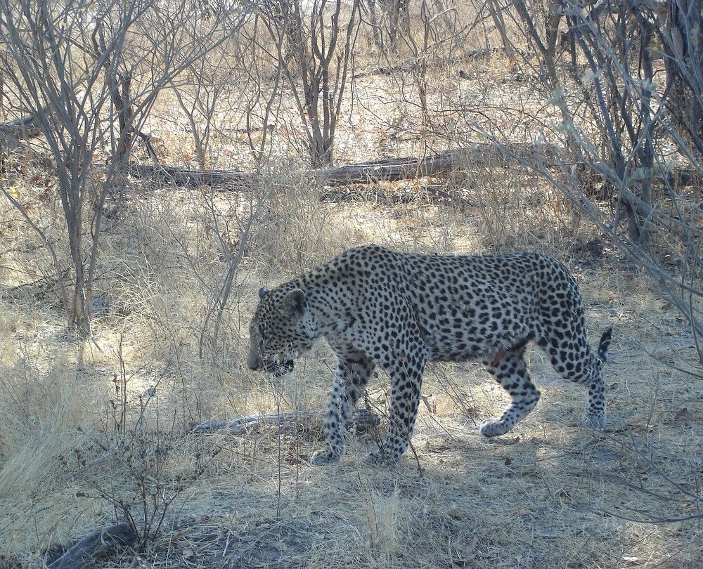 Photograph by Ирина Орлова