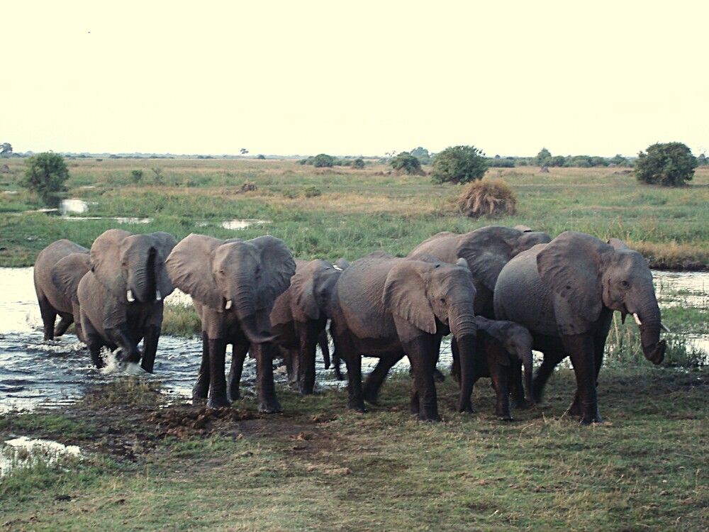 Photograph by Ирина Орлова