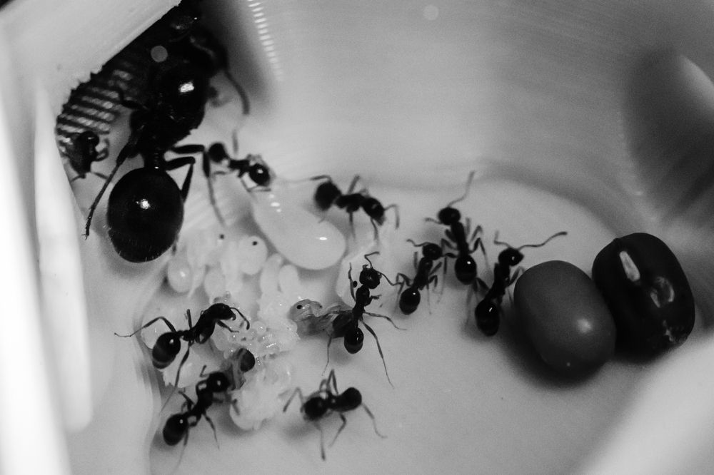 Photograph by Thanh Trinh