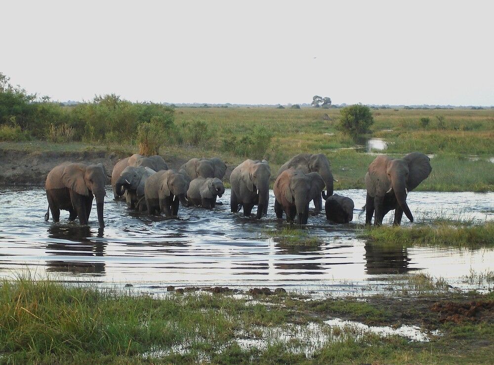 Photograph by Ирина Орлова