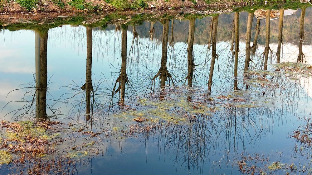 Photograph by Javad Tafti Farashah